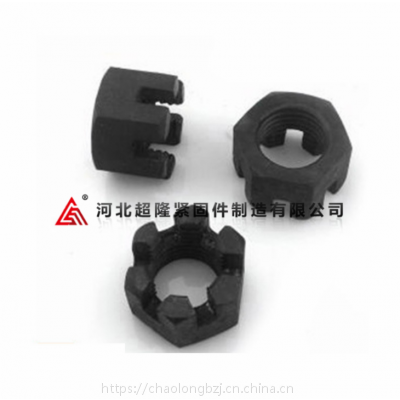 開槽六角螺母的多樣規(guī)格與高強(qiáng)度定制優(yōu)勢(shì)